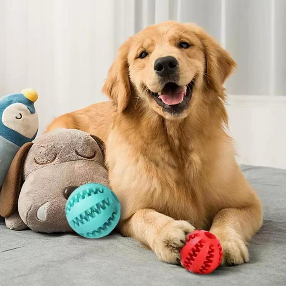 Interactive Dog Chew Ball with Rope