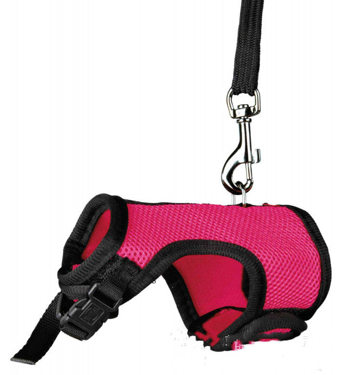 Adjustable Nylon Pet Harness & Leash Set