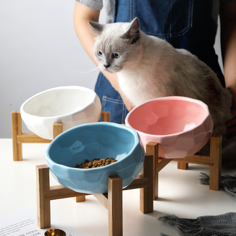 Oblique-Mouth Pet Bowl