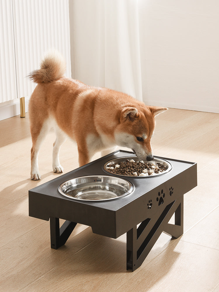 Portable Folding Pet Bowl