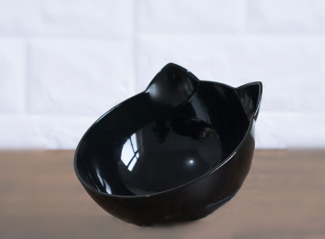 Inclined Pet Feeding Bowl