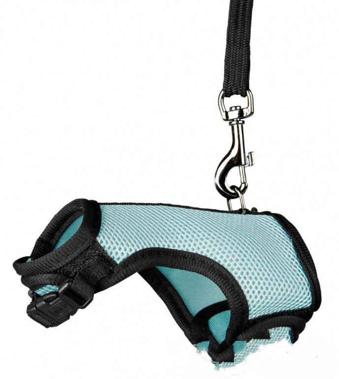 Adjustable Nylon Pet Harness & Leash Set
