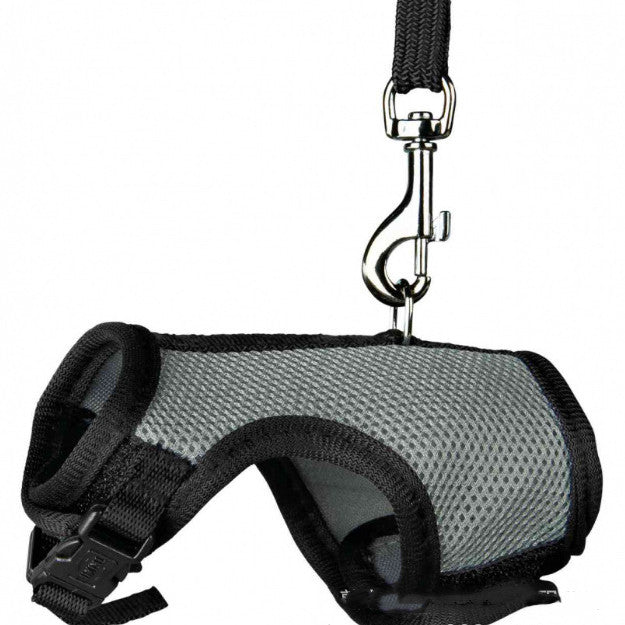 Adjustable Nylon Pet Harness & Leash Set