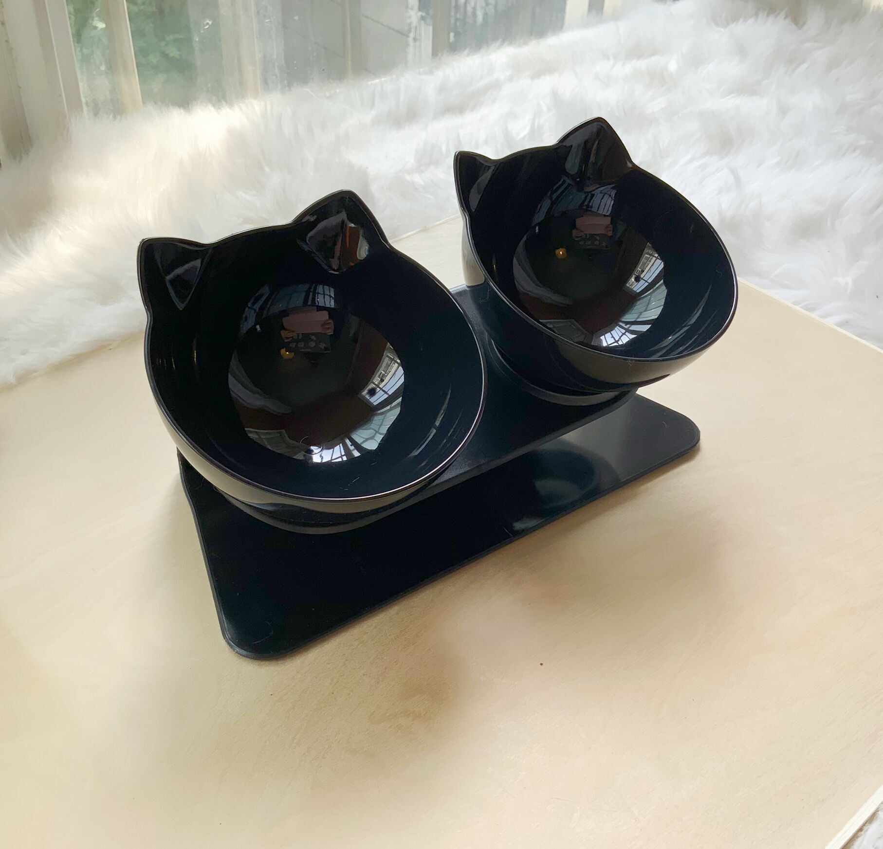 Transparent Cat Double Feeding Bowl with Spine