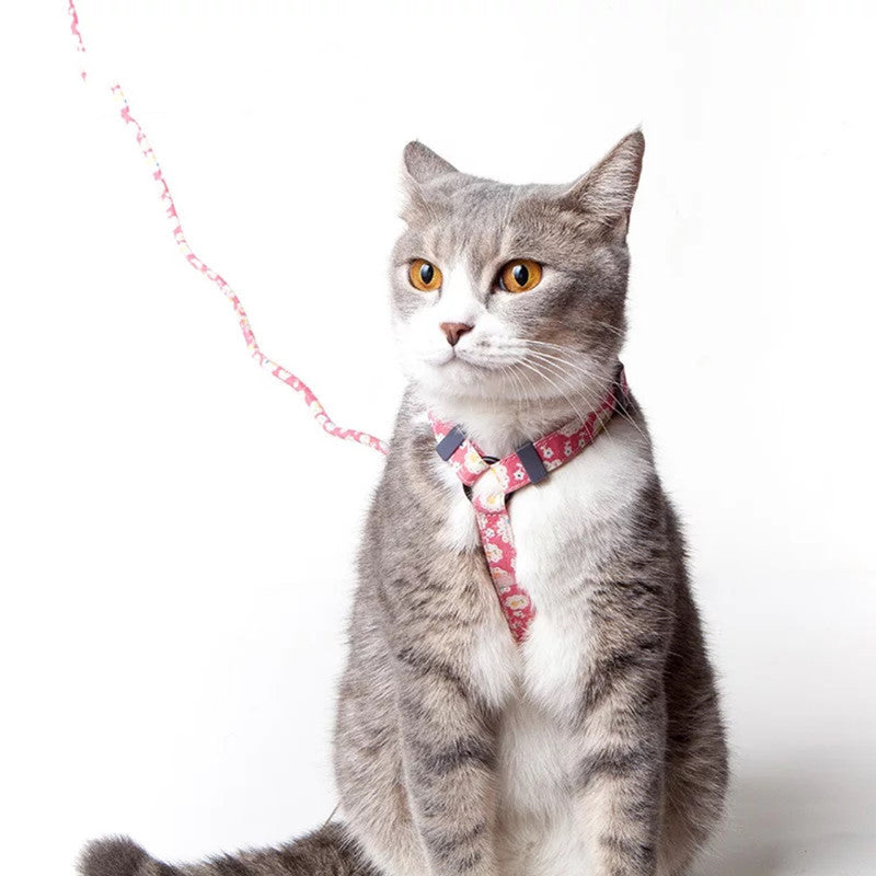 Adjustable Nylon Cat Harness & Leash Set