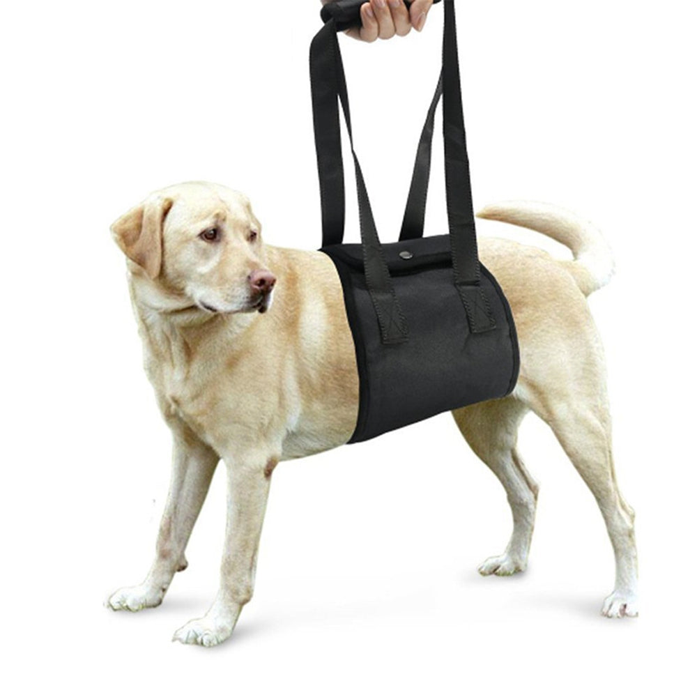 Supportive Dog Assistance Harness
