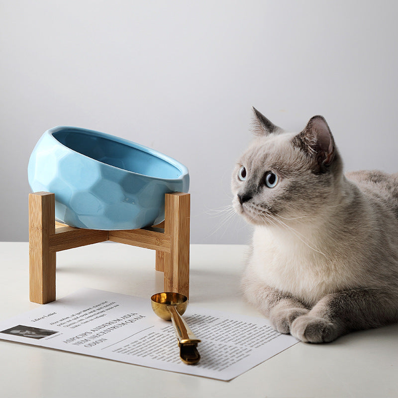 Oblique-Mouth Pet Bowl