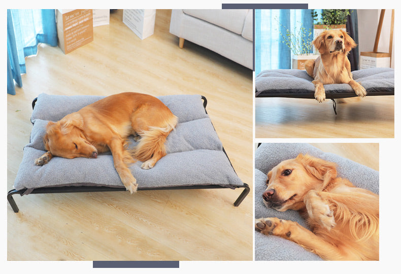 Removable & Washable Elevated Pet Bed