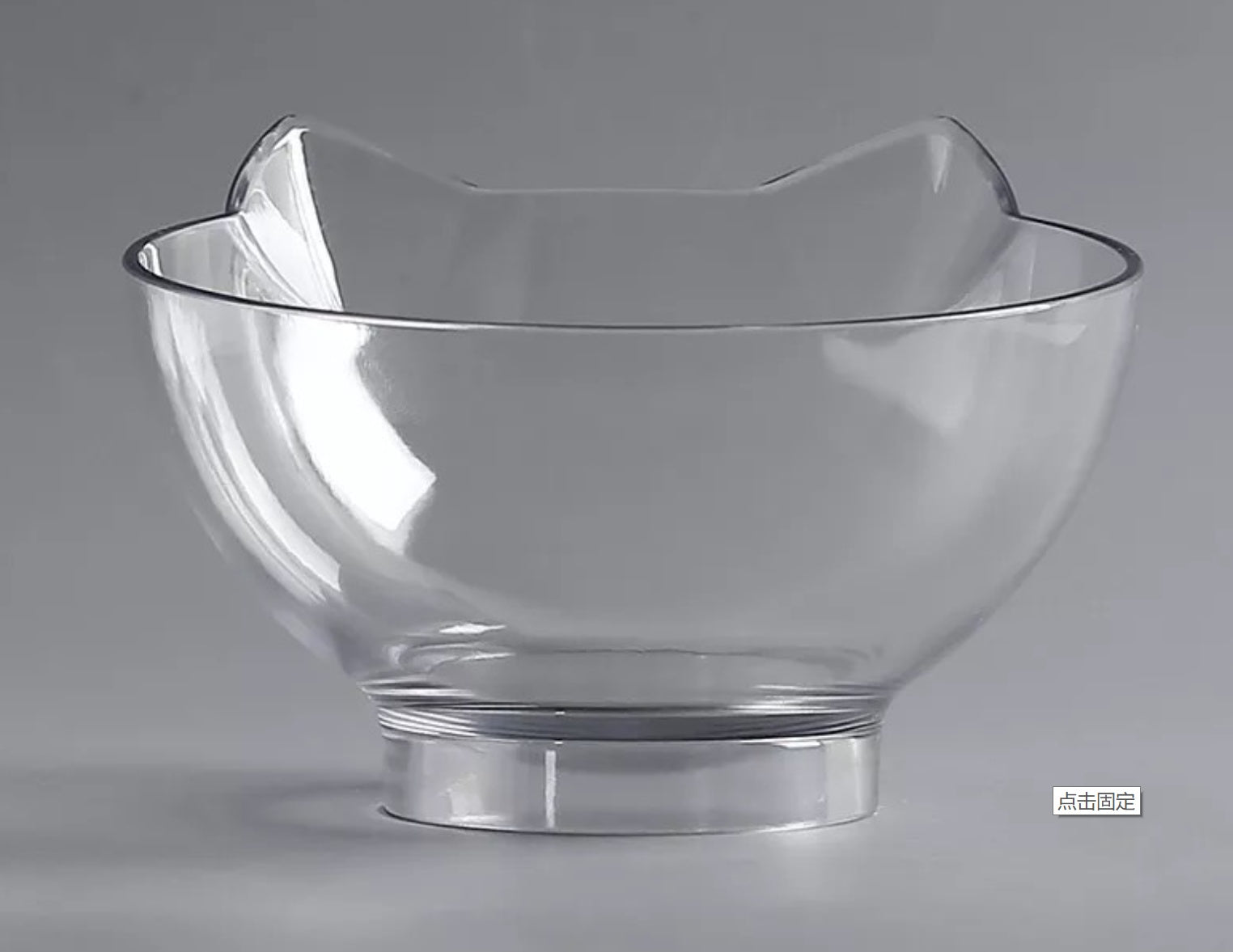 Inclined Pet Feeding Bowl