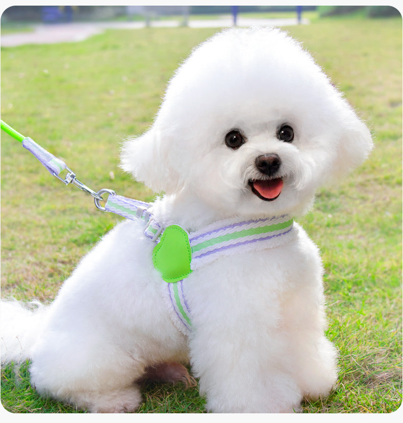 Breathable Dog Harness & Leash Set