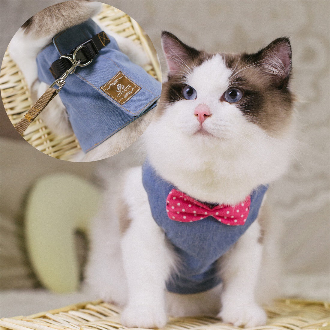 Bow-Accent Cat Harness & Leash Set