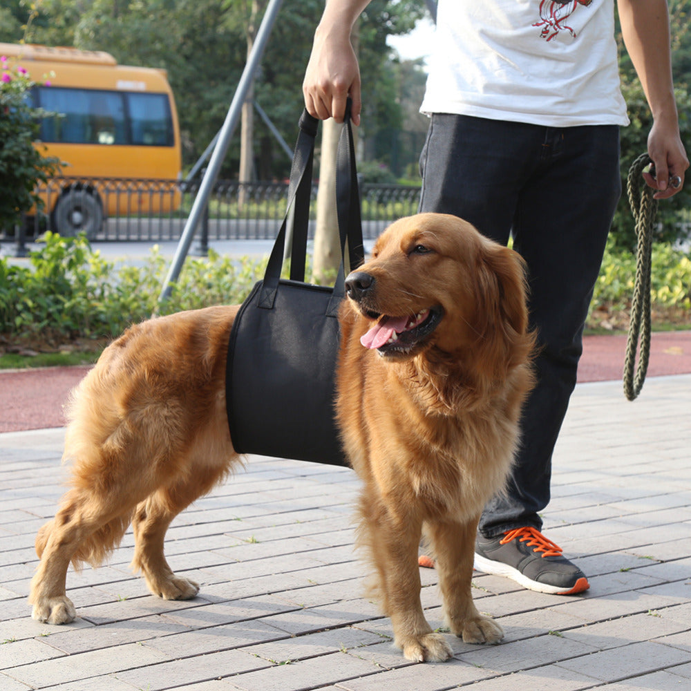 Supportive Dog Assistance Harness