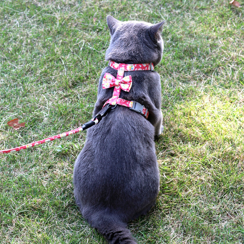 Floral-Inspired Cat Harness & Leash Set
