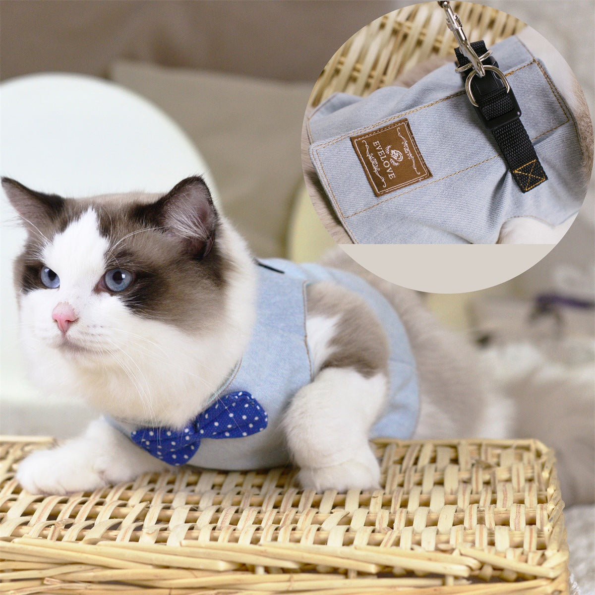Bow-Accent Cat Harness & Leash Set