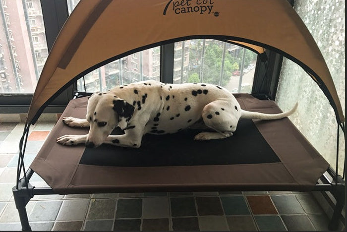 Moisture-Proof & Removable Pet Bed