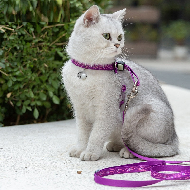 Breathable Cat Harness with Bell & Leash Set
