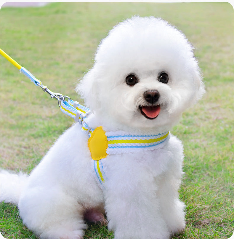 Breathable Dog Harness & Leash Set