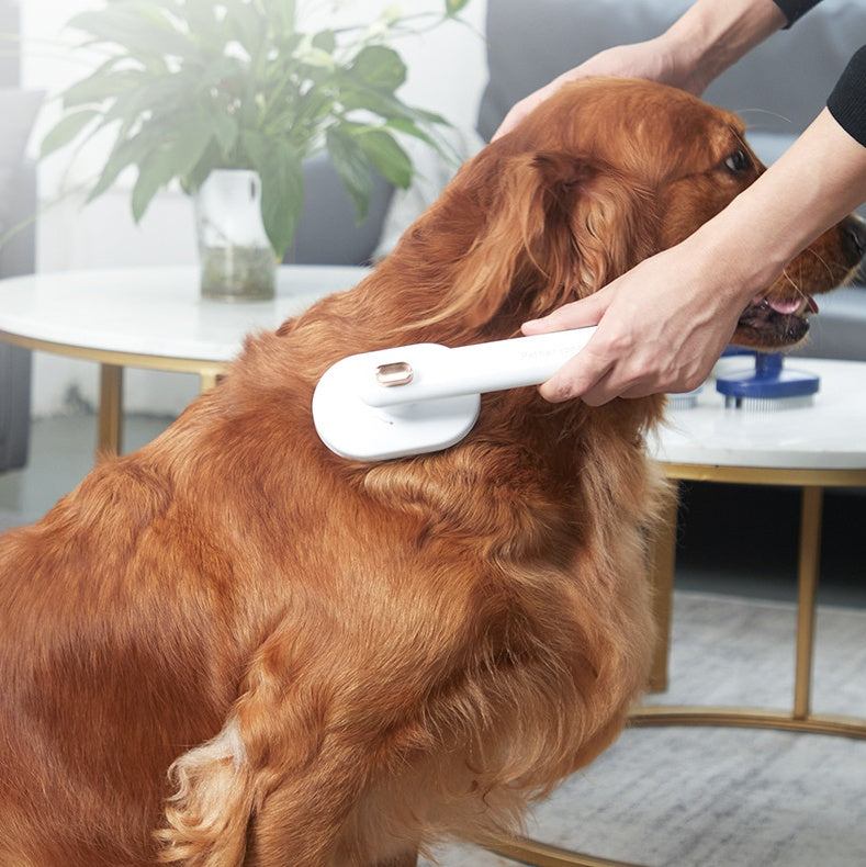 Self-Cleaning Pet Hair Brush for Pets