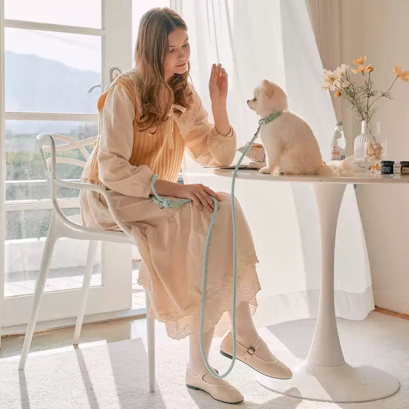 Leather Dog Collar & Leash Set