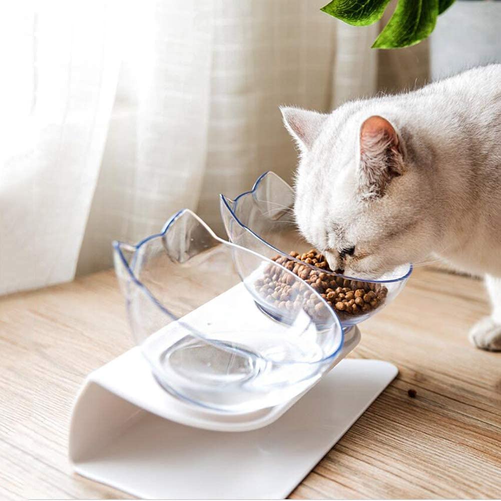 Non-Slip Elevated Double Pet Bowl