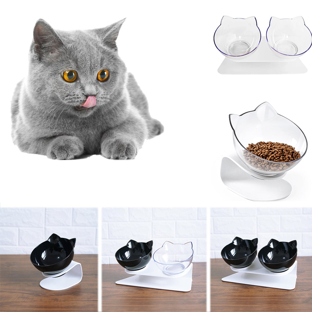 Transparent Cat Double Feeding Bowl with Spine