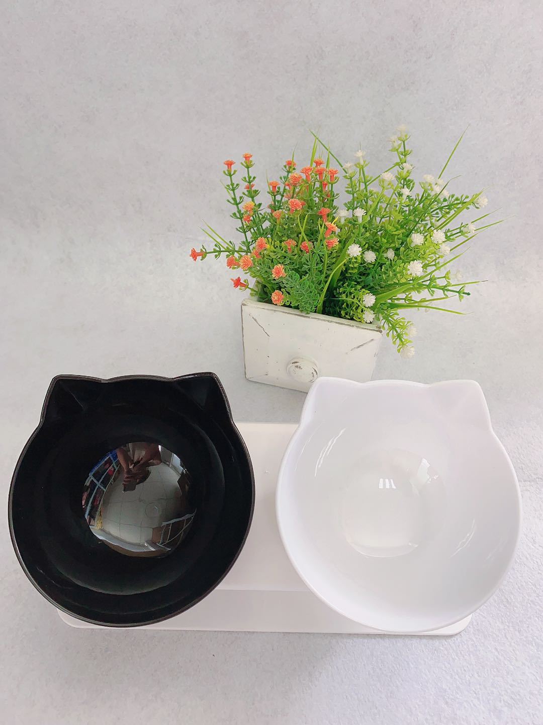 Transparent Cat Double Feeding Bowl with Spine