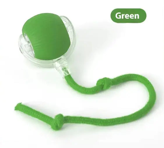 Speedy Tail Interactive Cat Toy Ball