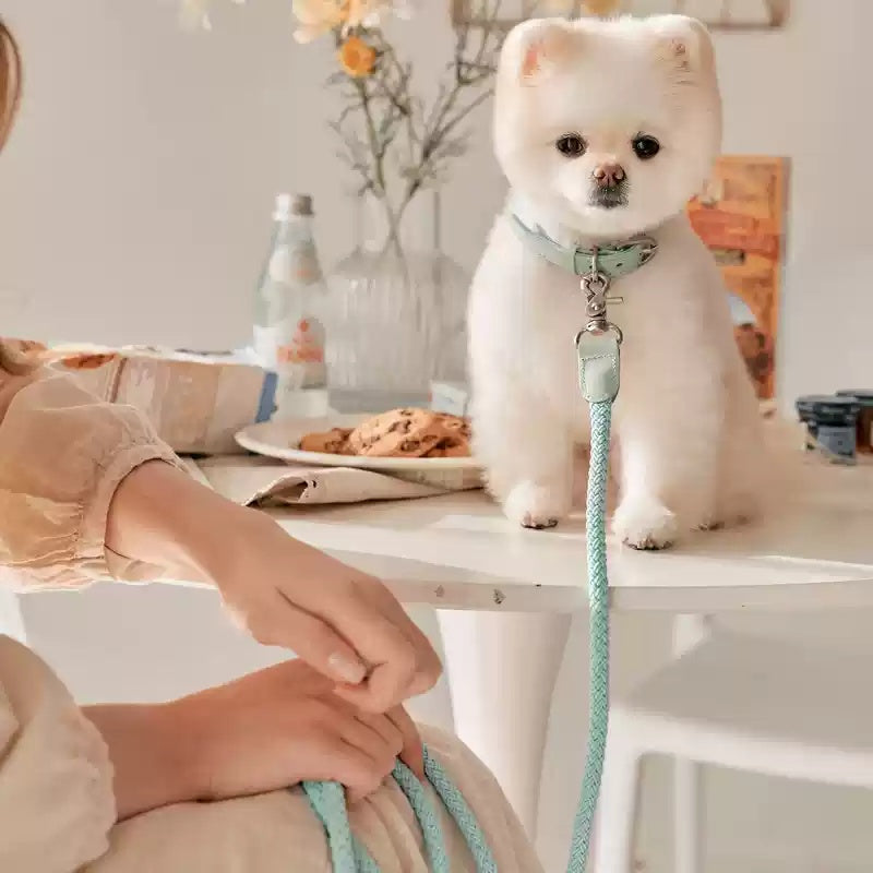 Leather Dog Collar & Leash Set