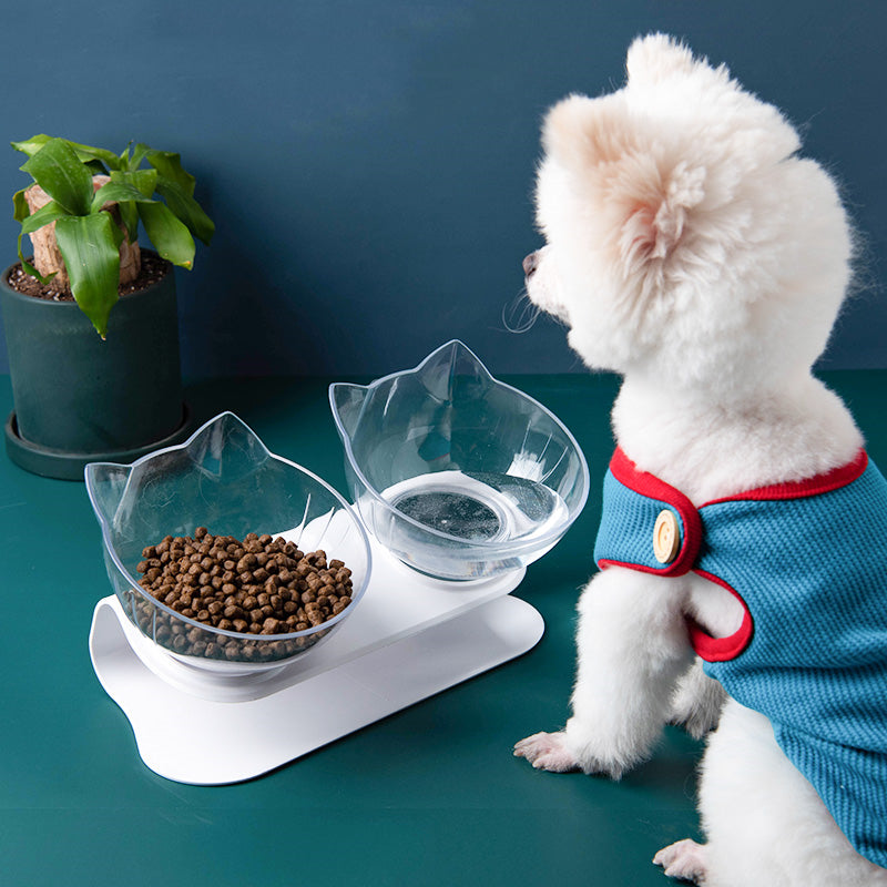 Inclined Pet Feeding Bowl
