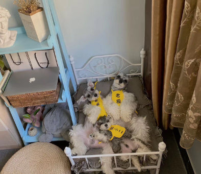 Dog & Cat Kennel Swing Bed