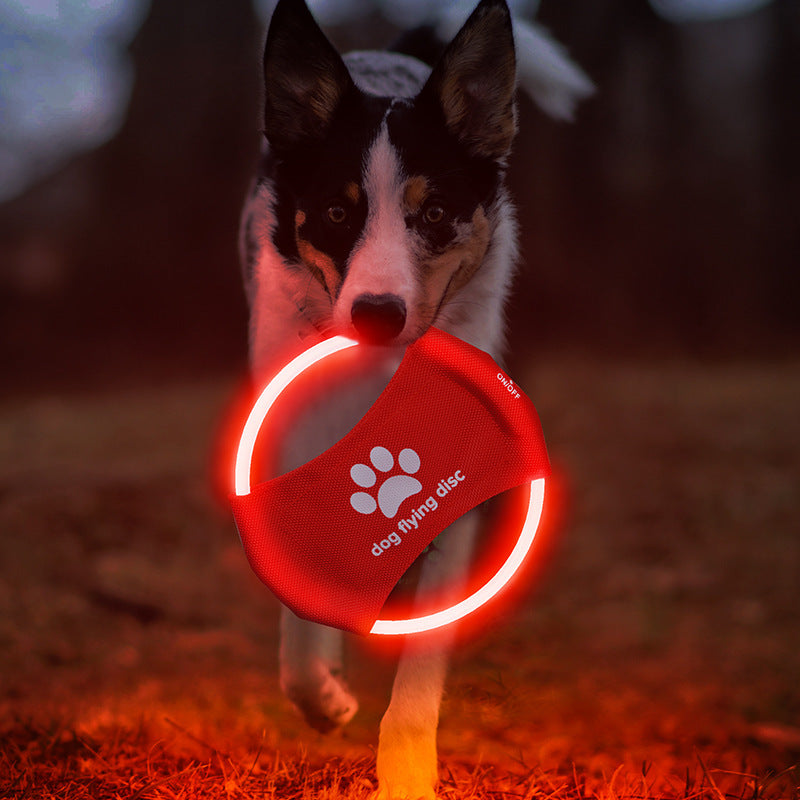 LED Glowing Dog Flying Disc