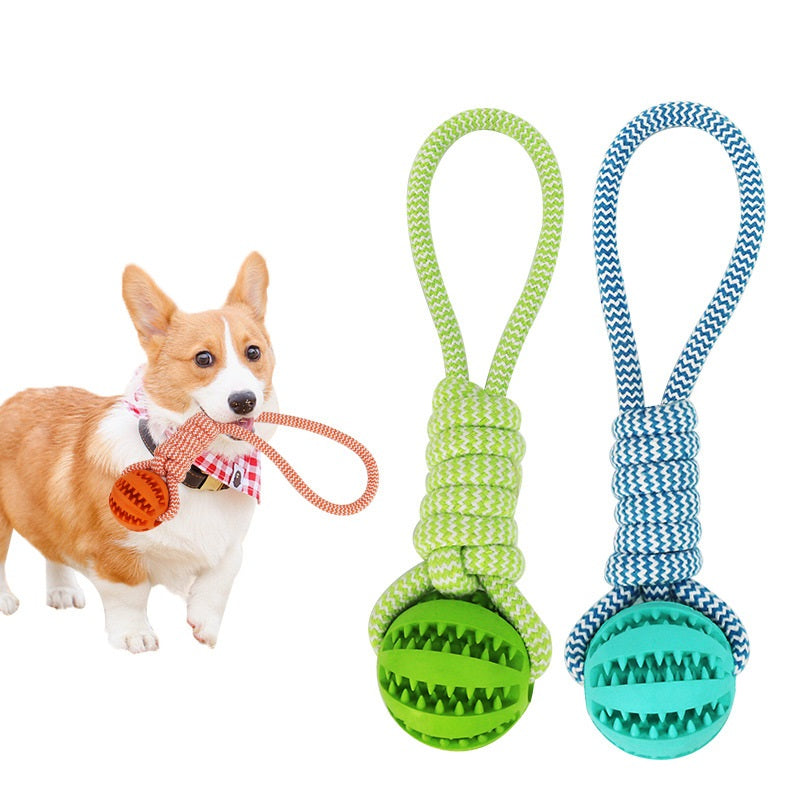 Interactive Dog Chew Ball with Rope