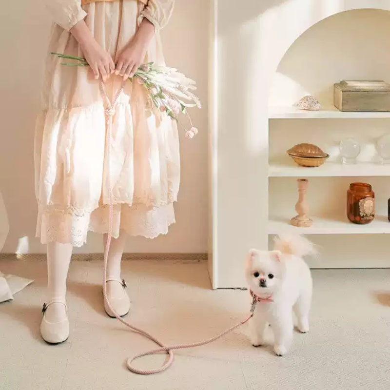 Leather Dog Collar & Leash Set