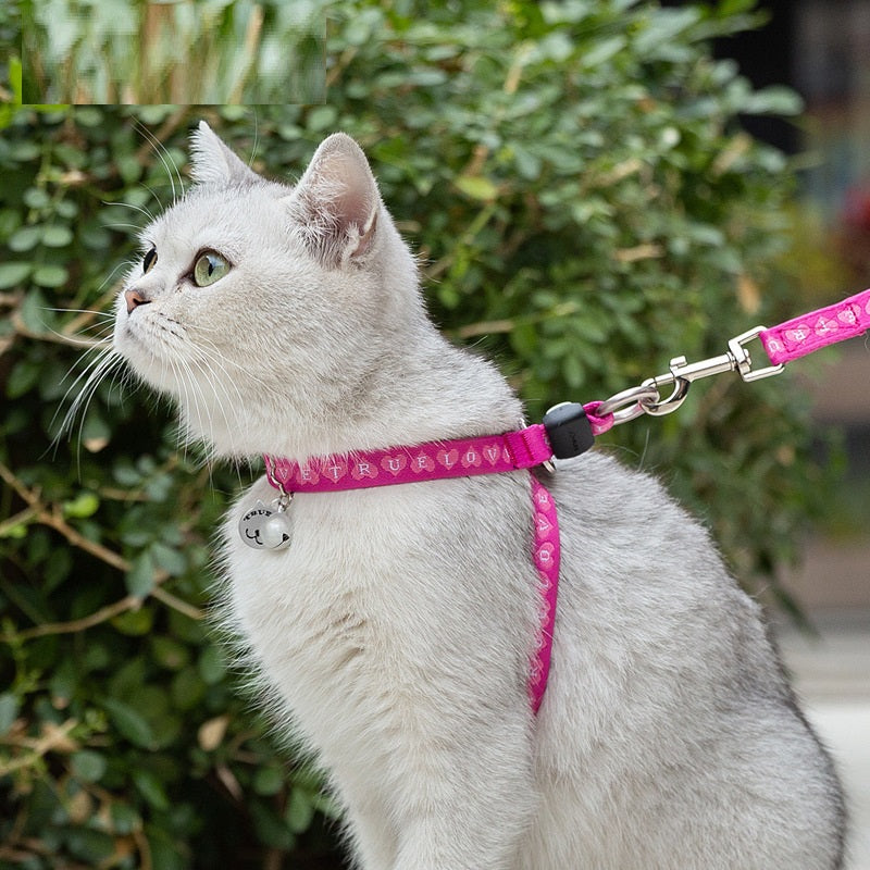 Breathable Cat Harness with Bell & Leash Set